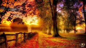 Image result for autumn photos