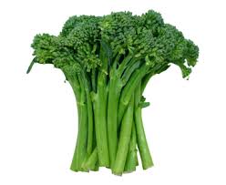 Image result for Photos of broccoli