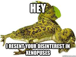Stilted xenopuse memes | quickmeme via Relatably.com