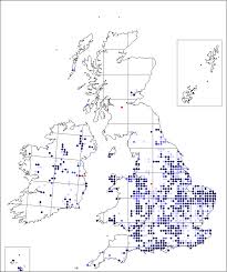 Oenanthe fistulosa | Online Atlas of the British and Irish Flora
