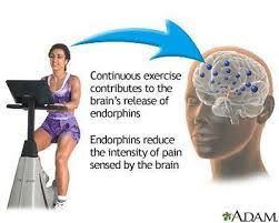 Image result for exercise and health