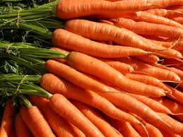 Картинки по запросу выращивание морковь