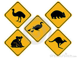 Image result for animal road signs