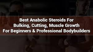 Top Anabolic Steroids to Enhance Muscle Building, Cutting, and Growth for Novice and Elite Bodybuilders