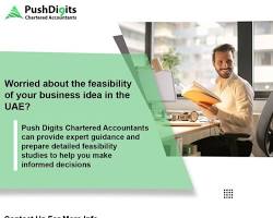 Push Digits accounting firm Dubai