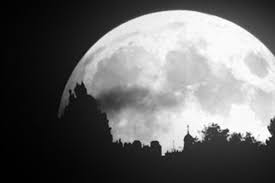 Image result for bulan purnama