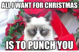 10 Best Grumpy Cat Christmas Memes | WeKnowMemes via Relatably.com