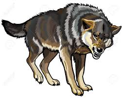 Image result for timber wolf clipart