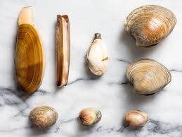 A Guide to Clam Types and What to Do With Them