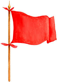 Image result for red flag