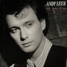 Andy Leek, Say Something, Germany, Deleted, vinyl LP album (LP record - Andy%2BLeek%2B-%2BSay%2BSomething%2B-%2BLP%2BRECORD-576407