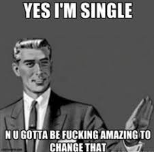 Memes Vault Funny Memes About Being Single via Relatably.com