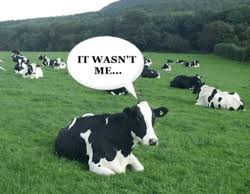 Image result for COW METHANE