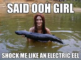 Said ooh girl Shock me like an electric eel - Electric Mermaid ... via Relatably.com