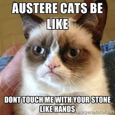 austere cats be like dont touch me with your stone like hands ... via Relatably.com