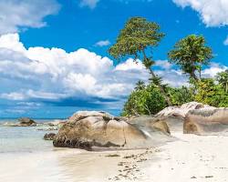 Gambar Seychelles beach with palm trees
