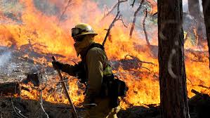 Image result for photos of california homes burnt 2015