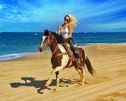 Gambar Horseback riding in Cabo