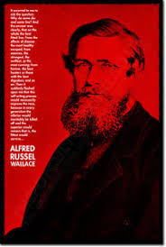 ALFRED RUSSEL WALLACE ART QUOTE PRINT PHOTO POSTER GIFT THEORY OF ... via Relatably.com