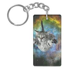 Cat Meme Keychains &amp; Cat Meme Key Chain Designs | Zazzle via Relatably.com