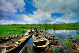 Image result for RAWA DANO