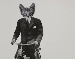 Image result for animal on bicycle