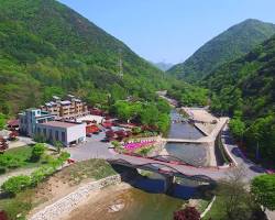 충북 옥천군 장령산 자연휴양림 전경, AI로 생성