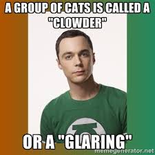 A GROUP OF CATS IS CALLED A &quot;CLOWDER&quot; OR A &quot;GLARING&quot; - sheldon ... via Relatably.com