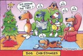 Image result for christmas funnies