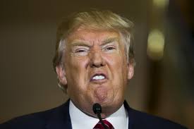 Image result for trump expressions