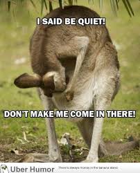 ahhhh cute kangaroo | Quotable Quotes | Pinterest | Kangaroos ... via Relatably.com