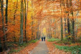 Image result for autumn pictures with people