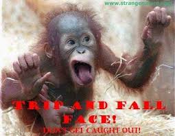 funny monkey pics with quotes | funny monkey quotes | Ideas for ... via Relatably.com