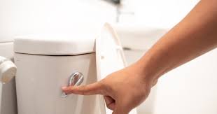 The Surprising Truth: Whether You Close the Toilet Lid Before Flushing Might Not Make a Difference - 1