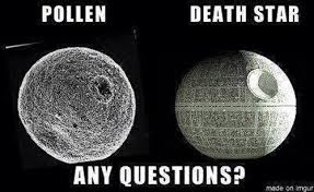 pollen death star any questions - Alaska Commons via Relatably.com