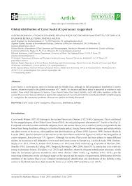 (PDF) Global distribution of Carex buekii (Cyperaceae) reappraised