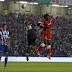 Cardiff City striker Kenwyne Jones could be out for two weeks after...