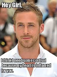 Meme Maker - I think I need some cortisol Hey Girl, because my ... via Relatably.com