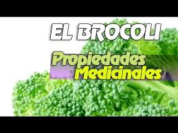Resultado de imagen de propiedades brocoli