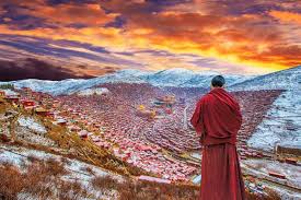 Bildergebnis für học viên lớn nhất ở tây tạng bị phá hủy