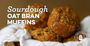 Sourdough Oat Bran Muffins Recipe - Cultures For Health