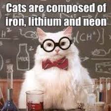 Chemistry Cat Meme on Pinterest | Chemistry Cat, Science Jokes and ... via Relatably.com