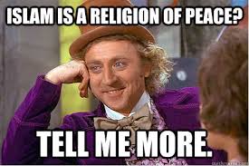 Islam is a religion of peace? Tell me more. - Meme this - quickmeme via Relatably.com