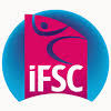 Image result for ifsc climbing