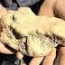 'I couldn't believe my eyes': Victorian prospector unearths $250000 ...