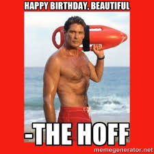 Happy Birthday, Beautiful -The Hoff - david hasselhoff | Meme ... via Relatably.com