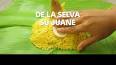Video de juane plato tipico peruano