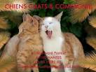 CHIENS CHATS ET COMPAGNIE - HelloAsso