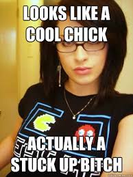 LOOKS LIKE A COOL CHICK ACTUALLY A STUCK UP BITCH - Cool Chick ... via Relatably.com
