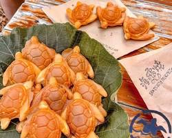 海龜餅